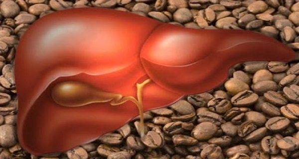 Coffee good for the liver