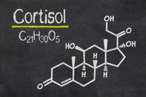 cortisol production
