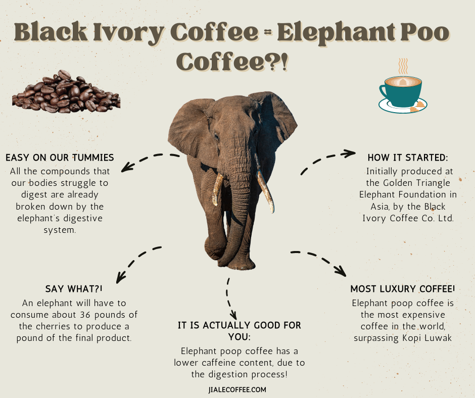 is black ivory coffee good