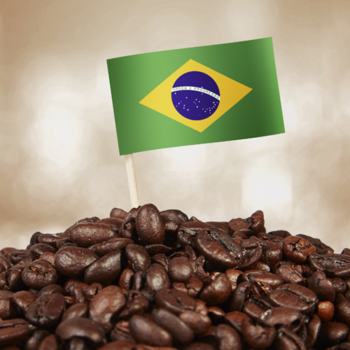 Exploring The Flavor Notes of Brazilian Coffee